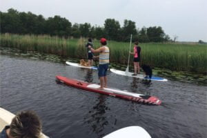 sup board vor hundekrallen schuetzen