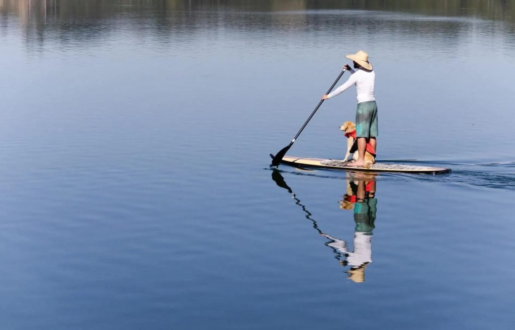 sup board 120kg