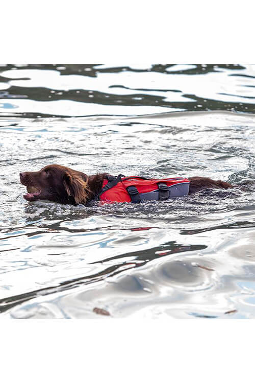red paddle hunde schwimmweste