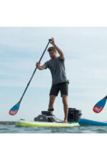 red original supt t shirt grau