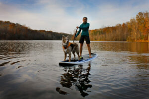 sup board vor hundekrallen schuetzen